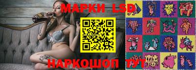 шишки Сланцы