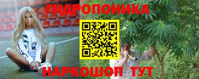 шишки Сланцы