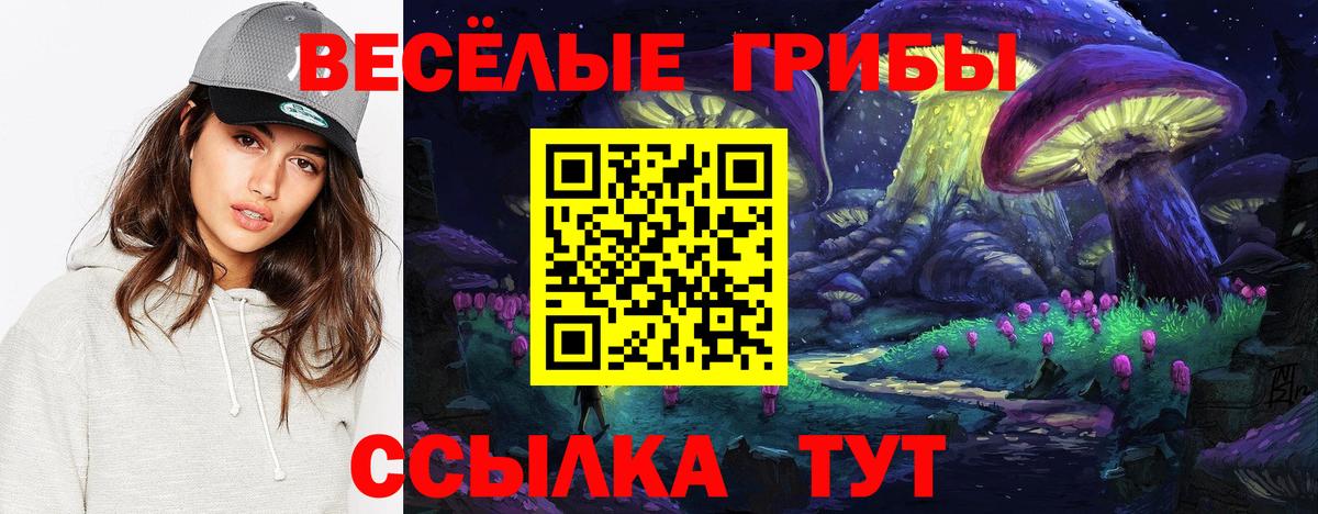 Галлюциногенные грибы GOLDEN TEACHER  Вход с VPN  Азнакаево 