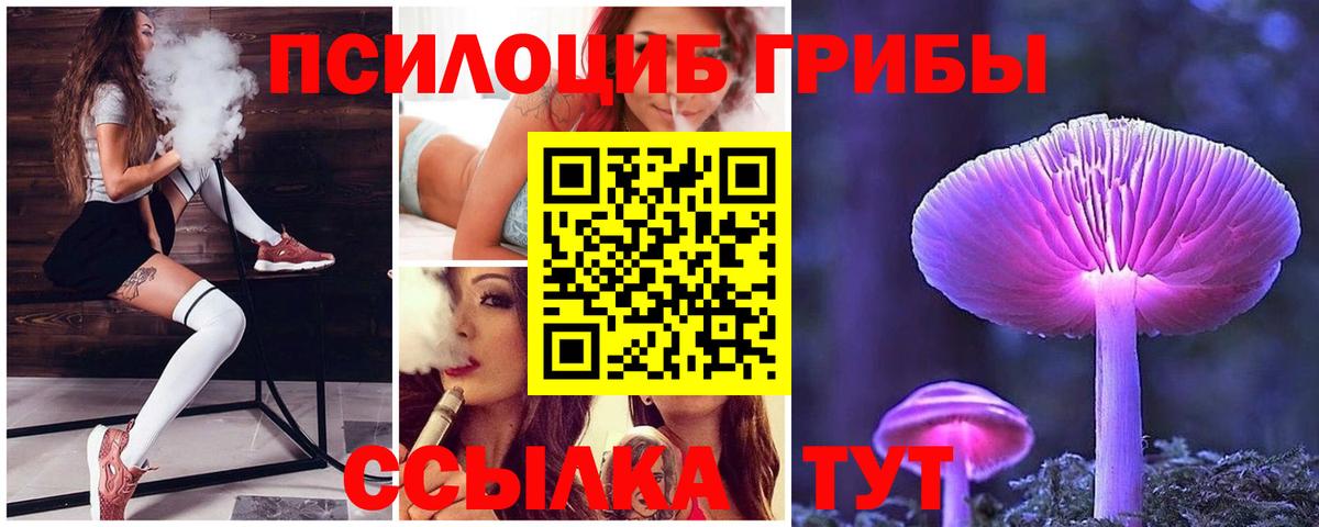 Псилоцибиновые грибы ЛСД Азнакаево